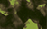 color swatch for 7017 